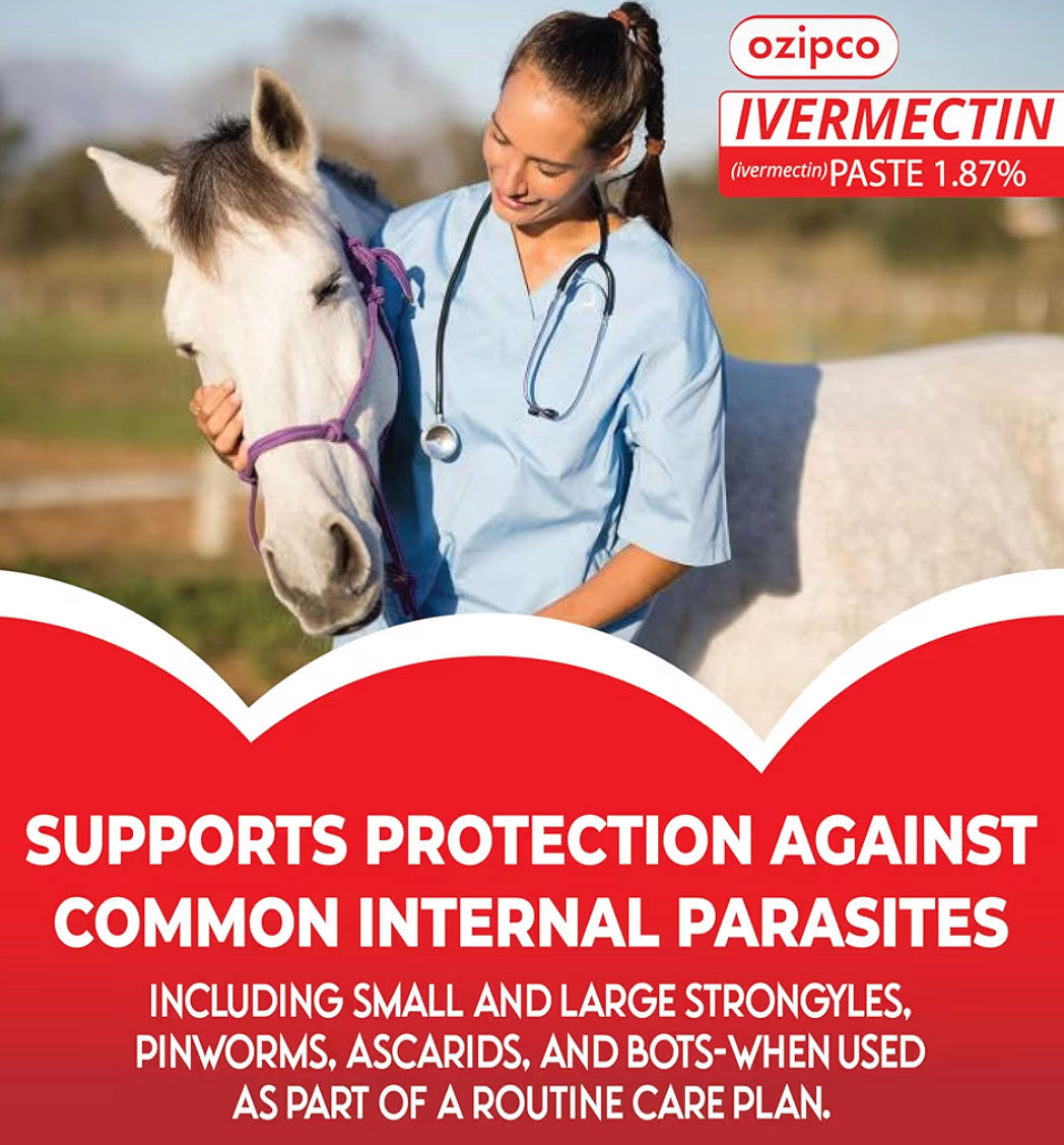 Ivermectin Horse Paste 1.87% | Apple Flavor – 6.08g Syringe for Equine Use Only Up to 1250 LB -(9-pack)