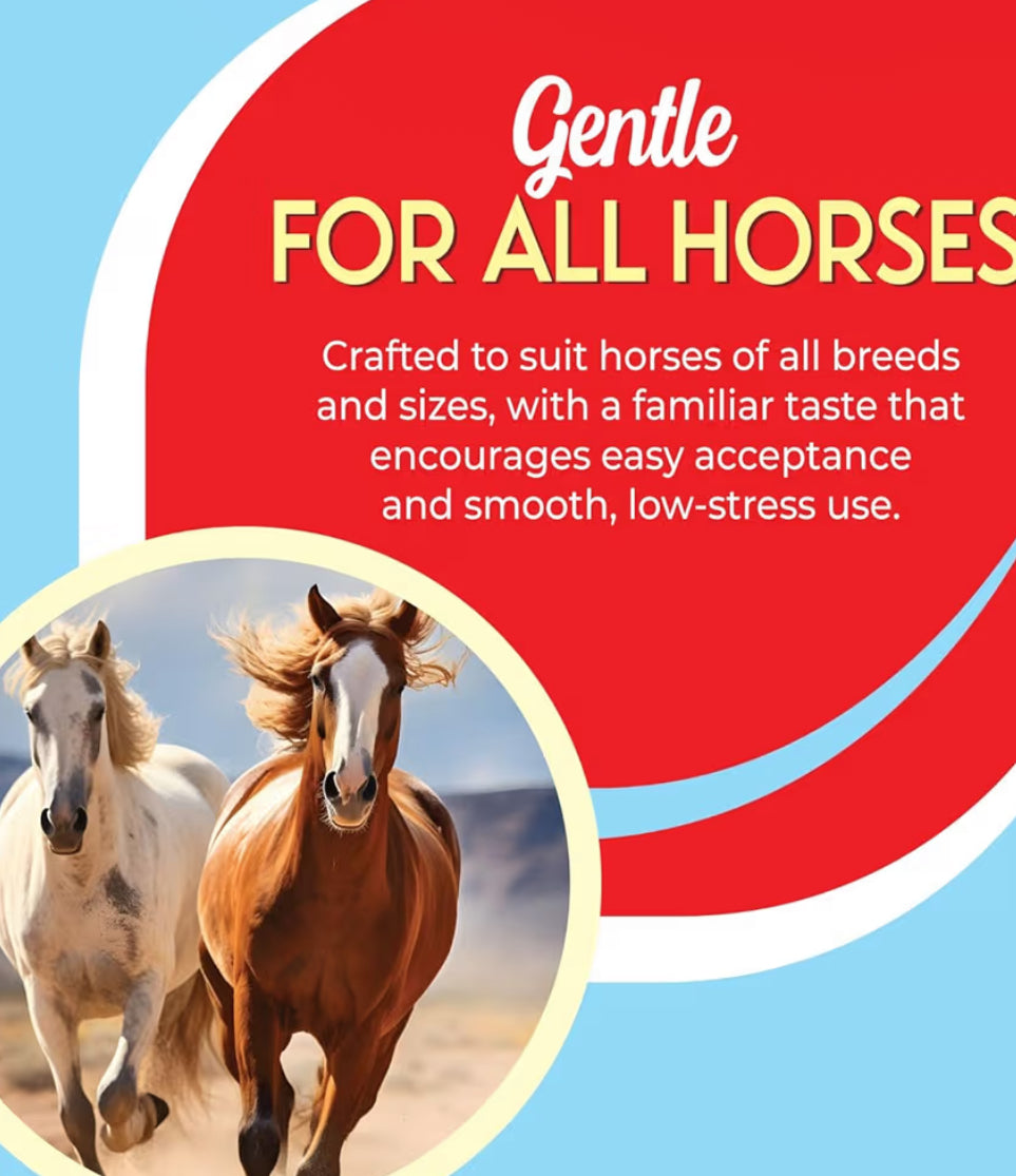 Ivermectin Horse Paste 1.87% | Apple Flavor – 6.08g Syringe for Equine Use Only Up to 1250 LB -(12-pack)