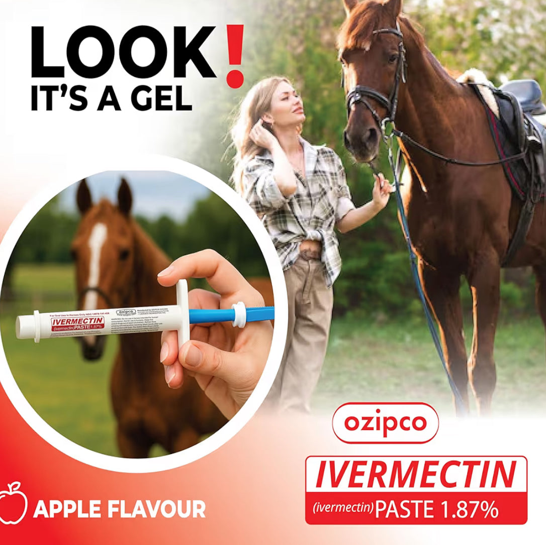 Ivermectin Horse Paste 1.87% | Apple Flavor – 6.08g Syringe for Equine Use Only Up to 1250 LB -(Pack Of 2)