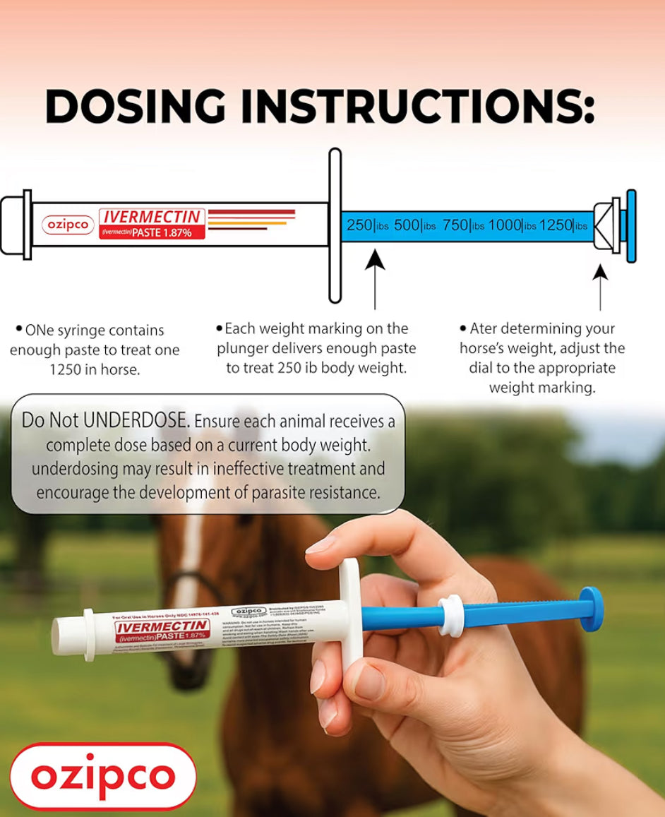 Ivermectin Horse Paste 1.87% | Apple Flavor – 6.08g Syringe for Equine Use Only Up to 1250 LB -(Pack Of 2)