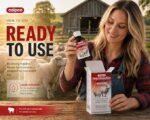 Ivermectin 0.08% Liquid Sheep Drench - Sheep Dewormer Oral Solution for Lambs and Ewes, Ovine Wormer, 100 mL Bottle, 1 Pack - Image 3