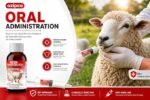 Ivermectin 0.08% Liquid Sheep Drench - Sheep Dewormer Oral Solution for Lambs and Ewes, Ovine Wormer, 100 mL Bottle, 1 Pack - Image 5