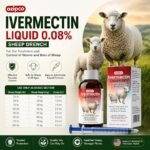 Ivermectin 0.08% Liquid Sheep Drench - Sheep Dewormer Oral Solution for Lambs and Ewes, Ovine Wormer, 100 mL Bottle, 1 Pack - Image 7
